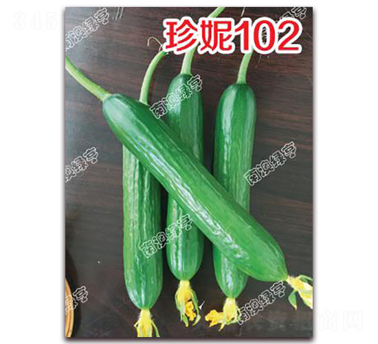����102-С�ƹ�����-�ϰ��̺�