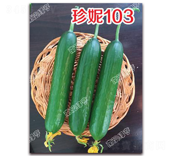 ����103-С�ƹ�����-�ϰ��̺�