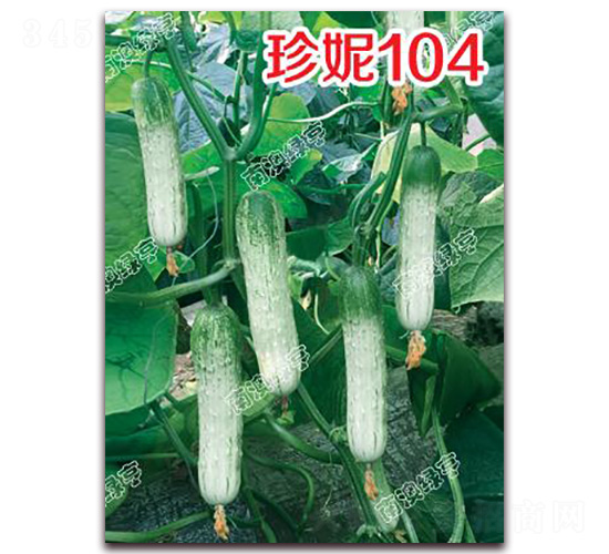 ����104-С�ƹ�����-�ϰ��̺�