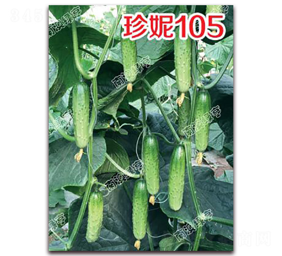 ����105-С�ƹ�����-�ϰ��̺�
