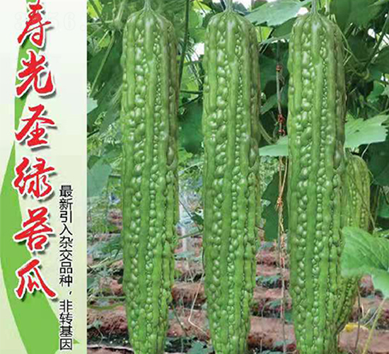 �ٹ�ʥ�̿��-�������-Ӣ������