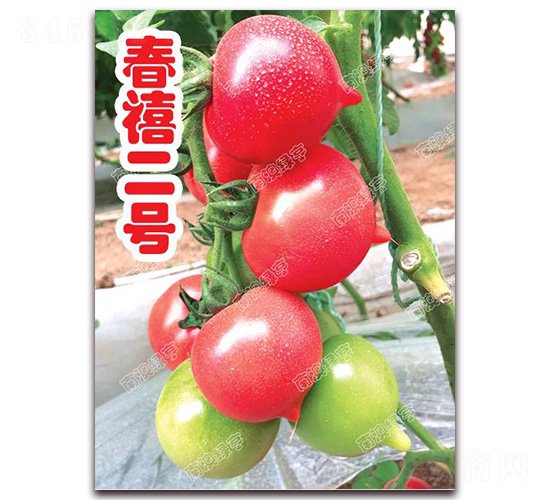 ��������-ӣ�ҷ�������-�ϰ��̺�