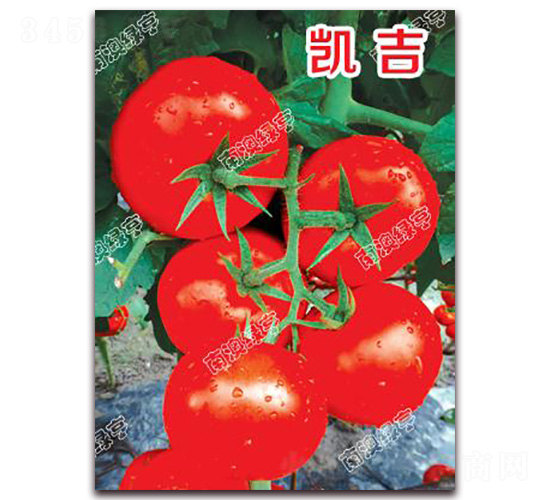 ����-��췬������-�ϰ��̺�
