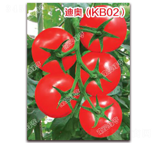 �ϰ£�KB02��-��췬������-�ϰ��̺�