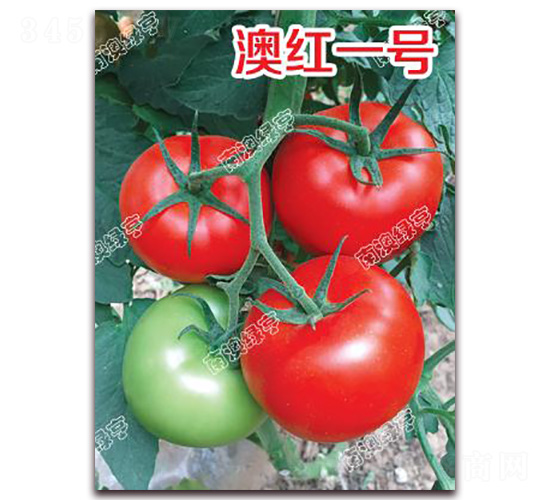 �ĺ�һ��-��췬������-�ϰ��̺�