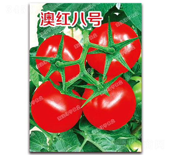 �ĺ�˺�-��췬������-�ϰ��̺�