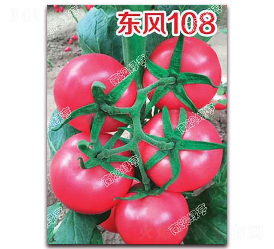 ����108-�۹���������-�ϰ��̺�