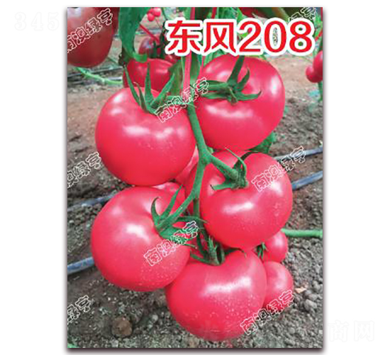 ����208-�۹���������-�ϰ��̺�