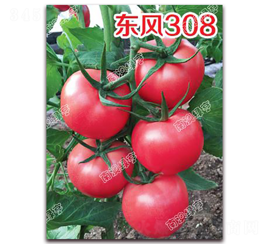 ����308-�۹���������-�ϰ��̺�