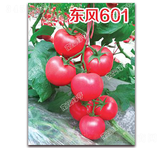 ����601-�۹���������-�ϰ��̺�