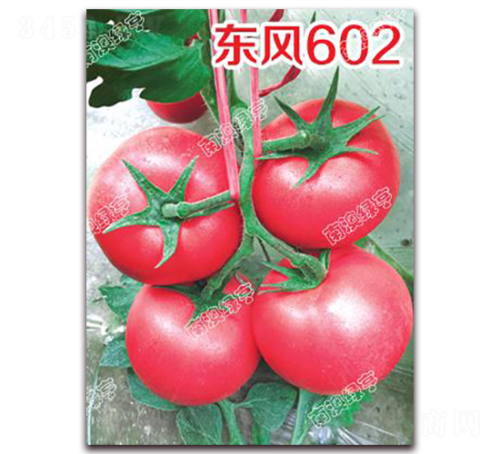 ����602-�۹���������-�ϰ��̺�