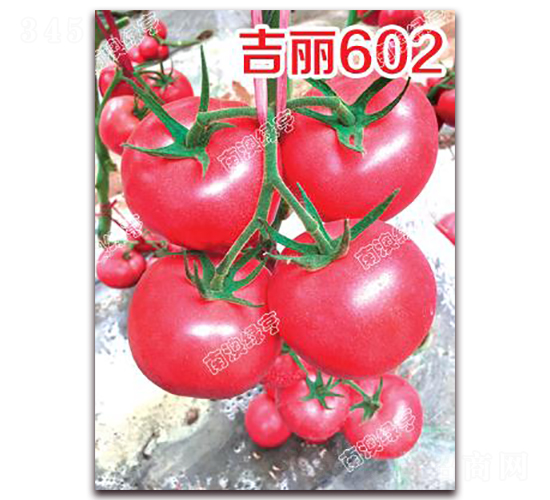 ����602-�۹���������-�ϰ��̺�