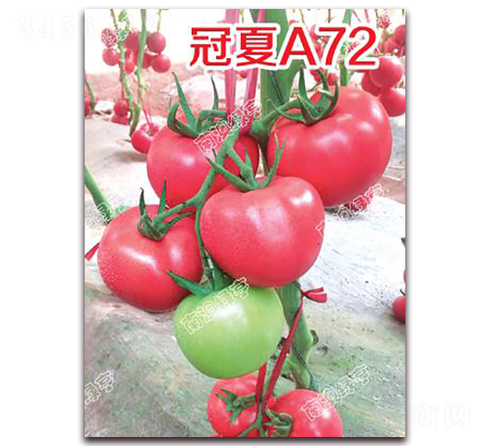 ����A72-�۹���������-�ϰ��̺�