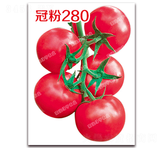 �ڷ�280-�۹���������-�ϰ��̺�