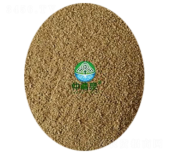 �ݲ�ѿ�߸˾���200��-g����ȫ�ܣ�-����Ȫ