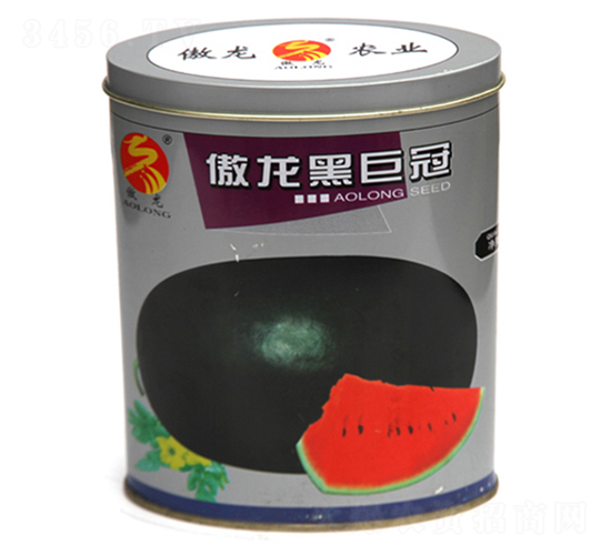 �����ھ޹�-��������-����