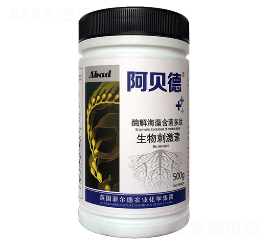 ø�⺣�庬����������̼���-������-����ũ��