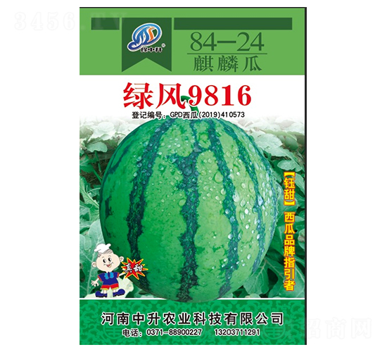 �̷�9816-��������-����ũҵ