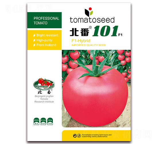 ����101F1-�۹���������-����