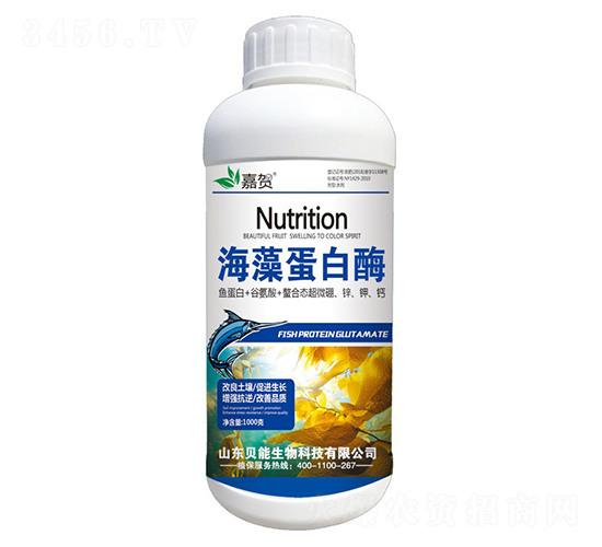 ���嵰��ø-�κ�-��������