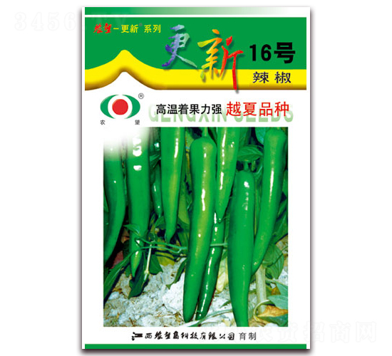 ����16��-�⽷����-ũ��