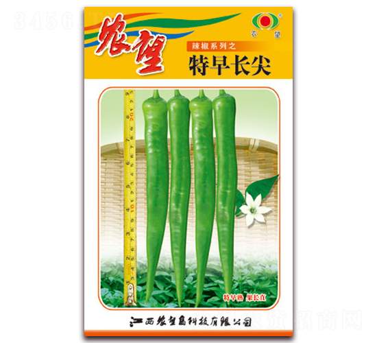 ���糤��-�⽷����-ũ��