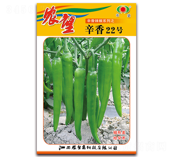 ����22��-�⽷����-ũ��