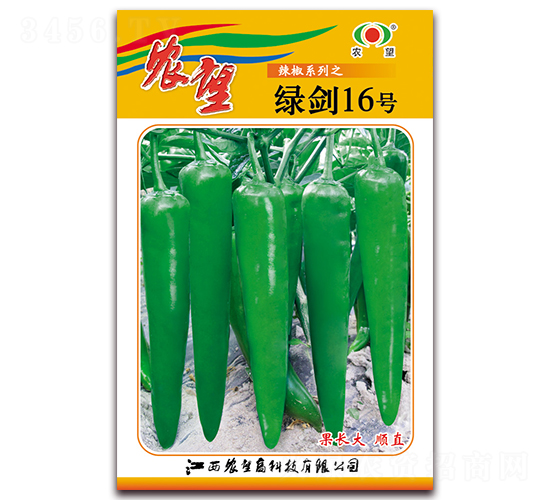 �̽�16��-�⽷����-ũ��