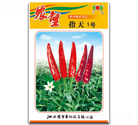 ָ��1��-���콷����-ũ��