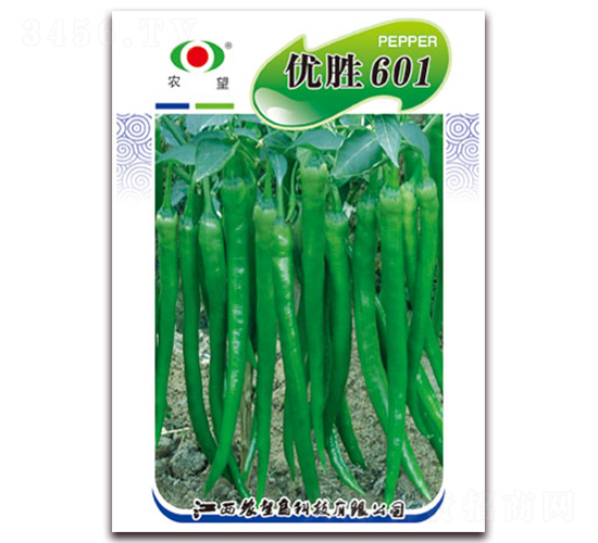 ��ʤ601-��������-ũ��