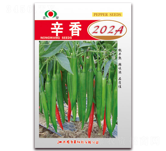 ����202A-��������-ũ��