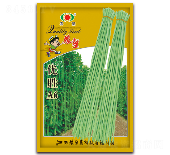 ��ʤA6-��������-ũ��