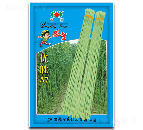 ��ʤA7-��������-ũ��