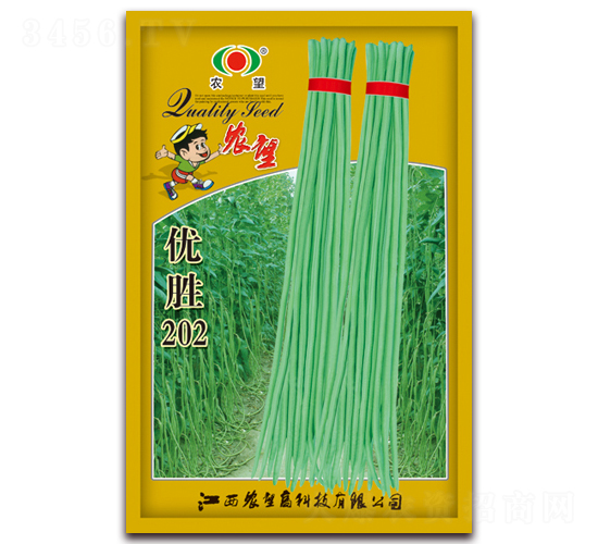 ��ʤ202-��������-ũ��