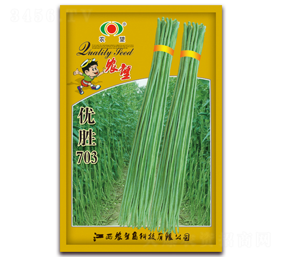 ��ʤ703-��������-ũ��