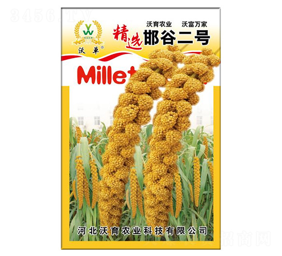 ����һ��-ˮ������-����ũҵ
