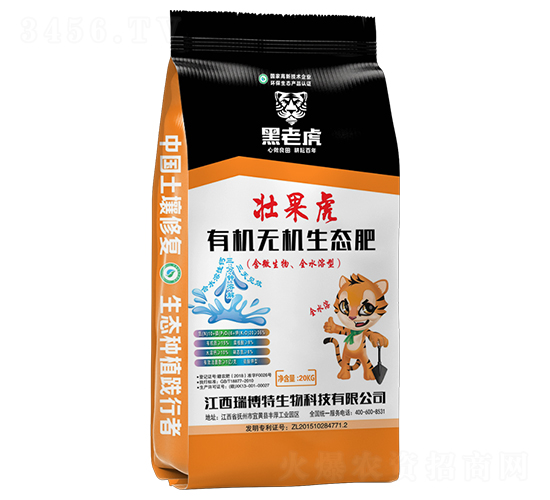�л��޻���̬��10-6-20-���ϻ�-����