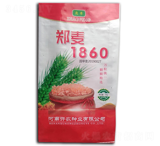 ֣��1860-С������-�׷�