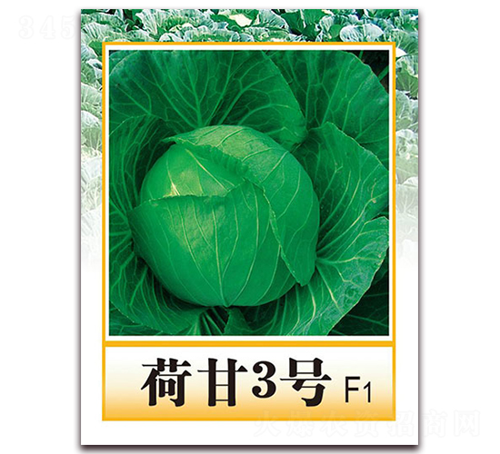 �ɸ�3��F1-�����������-��ũ����
