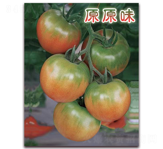 ԭԭζ-��ݮ��������-��ũ����