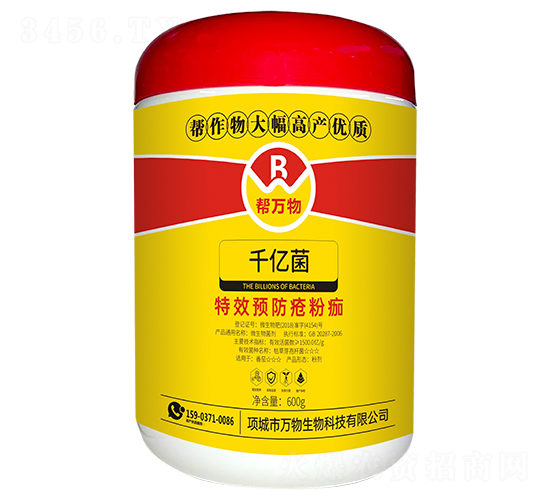 ǧ�ھ���΢������ʣ�-������