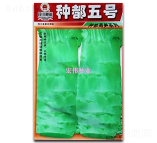 �ֶ����-ݫ������-��ΰ��ҵ
