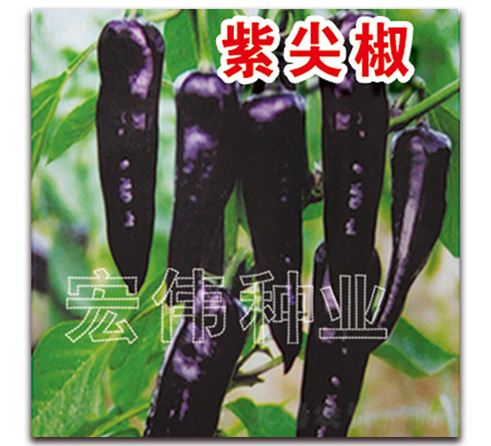 �ϼ⽷-��������-��ΰ��ҵ