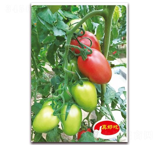 ������001F1-ӣ������������-��ΰ��ҵ