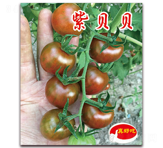 �ϱ���-ӣ������������-��ΰ��ҵ