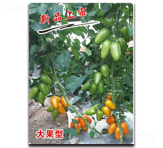 ��ţ3������-ӣ������������-��ΰ��ҵ