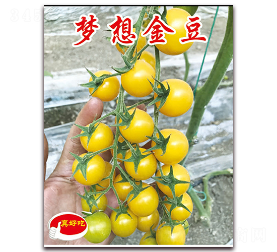 �����-ӣ������������-��ΰ��ҵ