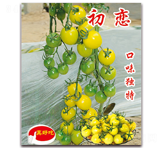 ����-ӣ������������-��ΰ��ҵ