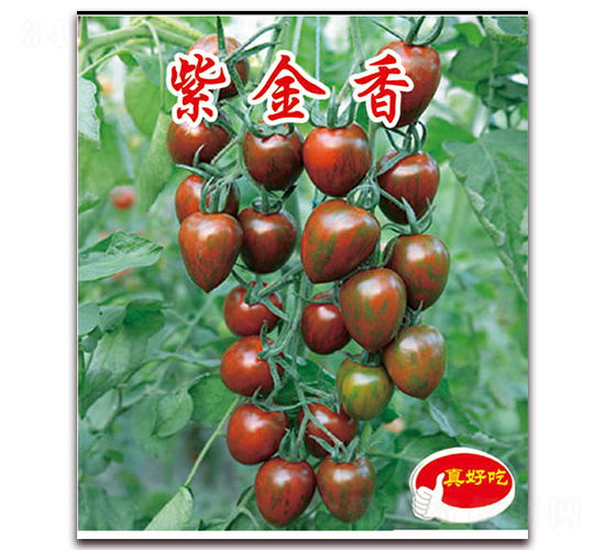 �Ͻ���-ӣ������������-��ΰ��ҵ