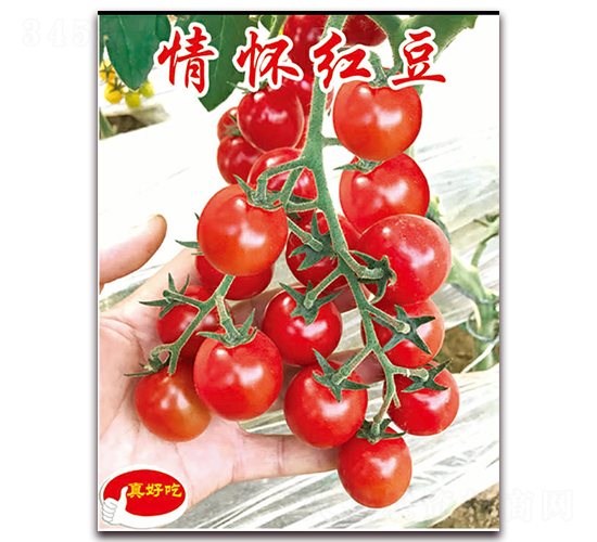 �黳�춹-ӣ������������-��ΰ��ҵ